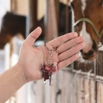 Personalized Horse Saddle Acrylic Keychain with Name Birthday Anniversary Gift for Horse Lovers Equestrians