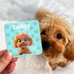 Personalized Cute Paw 3D Cartoon Dog Acrylic Fridge Magnet with Name Birthday Anniversary Gift for Dog Dad Dog Mom Pet Lovers