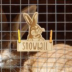 Personalizado lindo conejito de madera etiqueta de la jaula del conejo con lazos para colgar y grabado nombre de la jaula Accesorios de decoración Regalo de cumpleaños para los propietarios de mascota