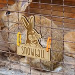 Personalizado lindo conejito de madera etiqueta de la jaula del conejo con lazos para colgar y grabado nombre de la jaula Accesorios de decoración Regalo de cumpleaños para los propietarios de mascota