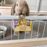 Personalizado lindo conejito de madera etiqueta de la jaula del conejo con lazos para colgar y grabado nombre de la jaula Accesorios de decoración Regalo de cumpleaños para los propietarios de mascota
