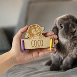 Personalizado lindo conejito de madera etiqueta de la jaula del conejo con lazos para colgar y grabado nombre de la jaula Accesorios de decoración Regalo de cumpleaños para los propietarios de mascota