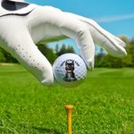 Gepersonaliseerde 3D Cartoon Hond Zachte Rubber Golfbal met Titel Vaderdag Verjaardagscadeau voor Papa Opa Golfspeler