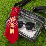 Personalized Retro Removable School Spirit Tag Clear Bag with Embroidered Text Concert Accessory Team Pride Gift for College Student Sports Lovers