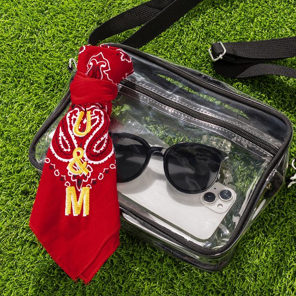 Personalized Retro Removable School Spirit Tag Clear Bag with Embroidered Text Concert Accessory Team Pride Gift for College Student Sports Lovers