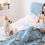 Coperta personalizzata Multicolor 3D Cartoon Dog Soft Throw Blanket con nomi Home Decor Compleanno Regalo di Natale per gli amanti degli animali domestici