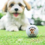 Gepersonaliseerde 3D Cartoon Hond Zachte Rubber Golfbal met Titel Vaderdag Verjaardagscadeau voor Papa Opa Golfspeler