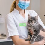 Gepersonaliseerde Multicolor Set van 2 3D Wolk Rechthoek Naam Badge met Beroep Verjaardag Inductie Cadeau voor Geregistreerd Verpleegkundige Medisch Personeel Opvoeder