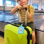 Personalized Cartoon Animals Multicolor PU Leather Passport Holder Luggage Tag Set with Name Travel Accessory Birthday Gift for Kid