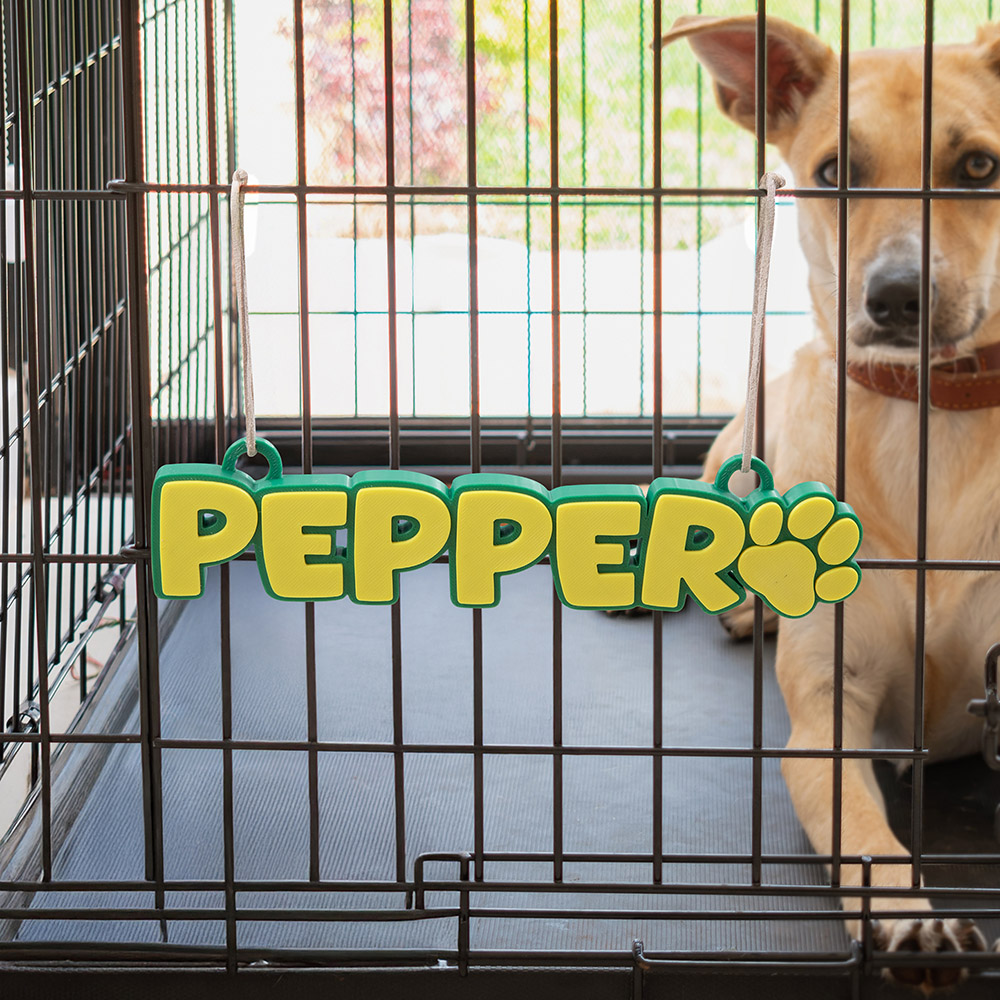 Plaque d'identification personnalisée pour chien imprimée en 3D avec patte de chien Accessoire pour chenil Cadeau d'anniversaire pour les amoureux des animaux de compagnie