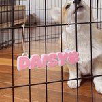 Personalised Dog 3D Printed Multicolor Name Plate with Dog Paw Kennel Accessory Birthday Gift for Pet Lovers