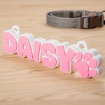 Personalised Dog 3D Printed Multicolor Name Plate with Dog Paw Kennel Accessory Birthday Gift for Pet Lovers