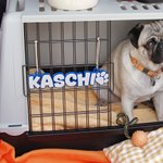 Personalised Dog 3D Printed Multicolor Name Plate with Dog Paw Kennel Accessory Birthday Gift for Pet Lovers