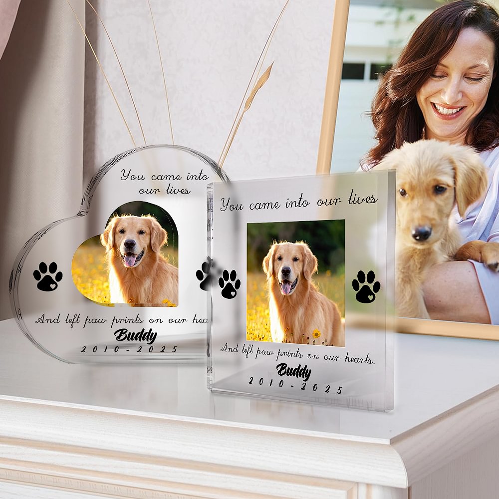 Plaque en acrylique transparent avec nom et date Cadeau de condoléances pour les propriétaires d'animaux de compagnie