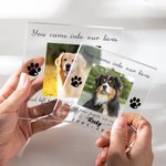 Personalised Dog Cat Paw Pet Photo Clear Acrylic Plaque with Name and Time Home Decor Memorial Pet Loss Sympathy Gift for Pet Owners