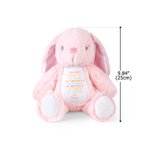 Personalized I Am Kind Positive Affirmation Stuffed Bunny Plush Toy with Name Birthday Baptism Baby Shower Gift for Kids