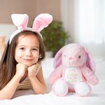 Personalized I Am Kind Positive Affirmation Stuffed Bunny Plush Toy with Name Birthday Baptism Baby Shower Gift for Kids