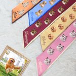 Foulard multicolore personalizzato con la foto degli animali domestici e nome regalo di compleanno o quotidiano per donne e amanti degli animali