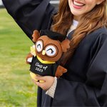 Personalized Cute Grad Cap and Bachelor's Gown Owl Plush Toy with Text and Year Souvenir Graduation Ceremony Gift for Graduates Classmates