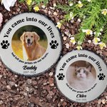 Gepersonaliseerde You Came Into Our Lives Paw Print Tuinsteen met Foto Huisdier Naam en Jaar Tuindecoratie Herdenkingsmonument voor Huisdierbezitters