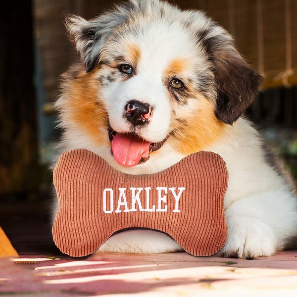 Jouet pour chien en velours côtelé avec nom brodé Cadeau d'anniversaire pour chien d'entraînement Cadeau d'anniversaire pour propriétaire de chien Dresseur de chiens