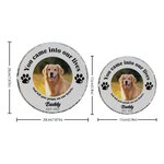 Gepersonaliseerde You Came Into Our Lives Paw Print Tuinsteen met Foto Huisdier Naam en Jaar Tuindecoratie Herdenkingsmonument voor Huisdierbezitters