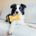 Gepersonaliseerd zacht bot Corduroy hondenspeelgoed met geborduurde naam Dog Training Verjaardagscadeau voor hondeneigenaar Pet Trainer