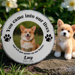 Gepersonaliseerde You Came Into Our Lives Paw Print Tuinsteen met Foto Huisdier Naam en Jaar Tuindecoratie Herdenkingsmonument voor Huisdierbezitters