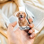 Marque-page magnétique personnalisé avec nom Fournitures de lecture Retour à l'école Cadeau d'anniversaire pour les lecteurs Rats de bibliothèque