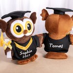 Personalized Cute Grad Cap and Bachelor's Gown Owl Plush Toy with Text and Year Souvenir Graduation Ceremony Gift for Graduates Classmates