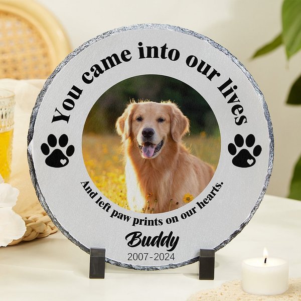 Gepersonaliseerde You Came Into Our Lives Paw Print Tuinsteen met Foto Huisdier Naam en Jaar Tuindecoratie Herdenkingsmonument voor Huisdierbezitters