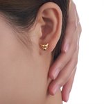 Personalised Birthstone Highland Cow Stud Earrings Dainty Jewellery Birthday Anniversary Gift for Women Highland Cow Lovers