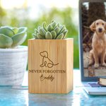 Gepersonaliseerde huisdier lijntekening hond kat pootafdruk houten bloempot met naam en tekst Home Decor Sympathie Memorial Gift voor verlies van huisdier