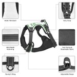 Personalised Sporty Number Adjustable Dog Chest Harness with Name Birthday Outdoor Activities Gift for Pet Lovers Owners