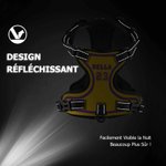 Harnais Réglable pour Animal de Compagnie Personnalisé avec Nom Numéro Cadeau Anniversaire pour Ppropriétaires Animaux de Compagnie