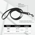 Harnais Réglable pour Animal de Compagnie Personnalisé avec Nom Numéro Cadeau Anniversaire pour Ppropriétaires Animaux de Compagnie