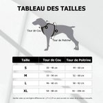 Harnais Réglable pour Animal de Compagnie Personnalisé avec Nom Numéro Cadeau Anniversaire pour Ppropriétaires Animaux de Compagnie