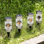 Personalized You Came into Our Lives Dog Cat Photo Paw Print Solar Garden Light with Name and Year Garden Decor Memorial Sympathy Gift for Loss of Pet