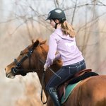 Personalisierte Multicolor Pferd Reiten Muster T-Shirt Sweatshirt Hoodie mit Namen Geburtstag Geschenk für Pferdeliebhaber