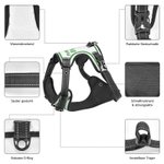 Personalisiertes Sport Rückennummer Verstellbares Hundegeschirr mit Namen Outdoor Aktivitäten Geburtstag Geschenk für Tierliebhaber Hundebesitzer