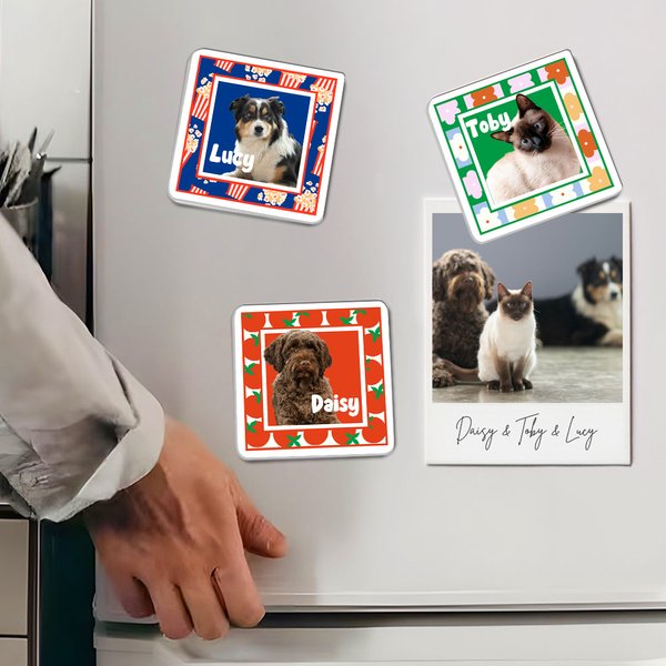 Imán de nevera acrílico imitación de marco de fotos con foto y nombre para regalo de cumpleaños para dueños de mascotas