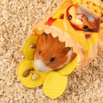 Personalized Cute 3D Cartoon Avatar Potato Chips Guinea Pig Photo Tunnel Non-toxic Soft Felt Cuddle Sack with Name Gift for Guinea Pig Lover