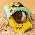 Personalized Cute 3D Cartoon Avatar Potato Chips Guinea Pig Photo Tunnel Non-toxic Soft Felt Cuddle Sack with Name Gift for Guinea Pig Lover