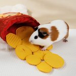 Personalized Cute 3D Cartoon Avatar Potato Chips Guinea Pig Photo Tunnel Non-toxic Soft Felt Cuddle Sack with Name Gift for Guinea Pig Lover