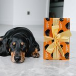 Personalized Funny Face Photo Multicolor Wrapping Paper with Text Christmas Birthday Holiday Favor Packing for Family Friends