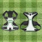Arnés ajustable personalizado para perros con número deportivo y nombre regalo de cumpleaños para amantes y dueños de perros