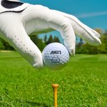 Personalisierte lustige pelzigen Körperteil Golfball mit Namen Bachelor Party Witz Thema Club Geburtstag Geschenk für Männer Golfliebhaber