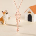 Gepersonaliseerde schattige hondenpoot ketting met naam sierlijke sieraden verjaardagscadeau voor vrouwen huisdier liefhebbers