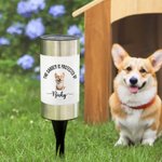 Personalizzato Questo giardino è protetto dal cane cartoon 3D Luce solare impermeabile da giardino con nome e testo Regalo di compleanno commemorativo per gli amanti degli animali domestici