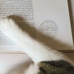 Personalised Girl and Cat Love Reading Embosser Seal Floral Book Envelope Stamp Creative Ex Libris Birthday Appreciation Gift for Teacher Book Lover